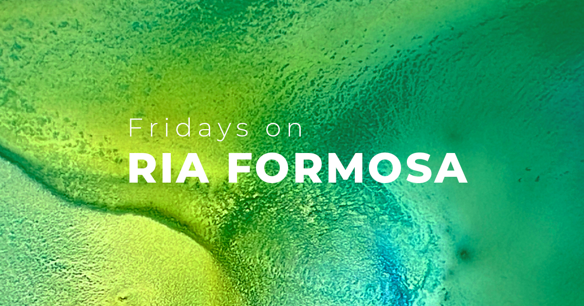 Artists painting outdoors on the Ria Formosa lagoon, Algarve, Portugal