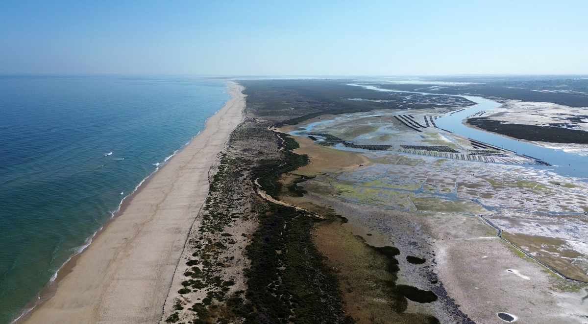 Aerial view of Ria Formosa, showing islands, waterways, and sunlit coastal scenery.