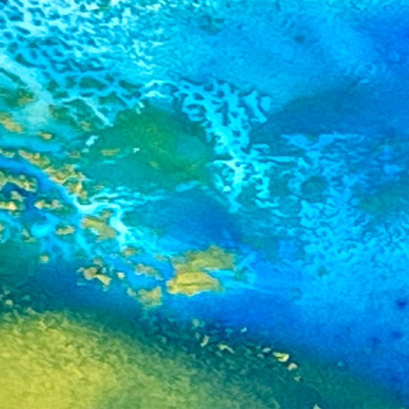 Close-up of a watercolor palette with half-mixed colours, showing the painting process for the Watercolour Winter Weekends course.