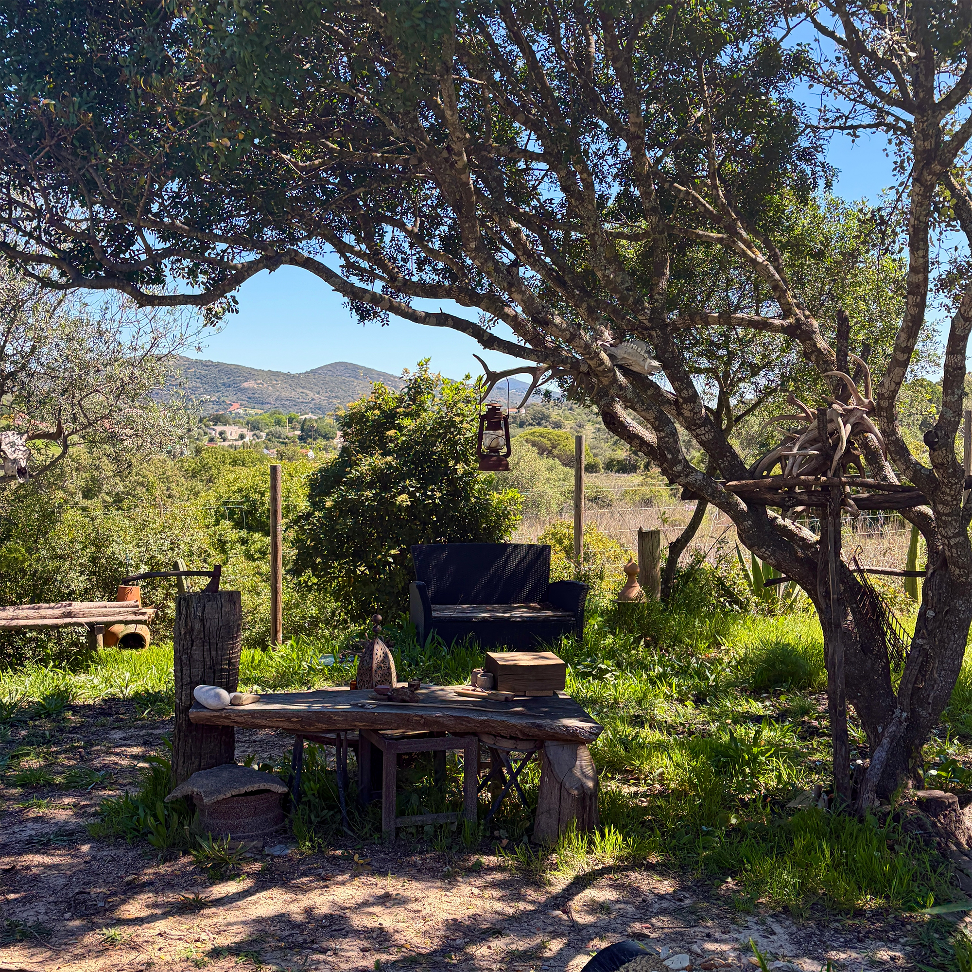 Photo of a paint tube labeled “Cobalt Turquoise Light” by Winsor & Newton