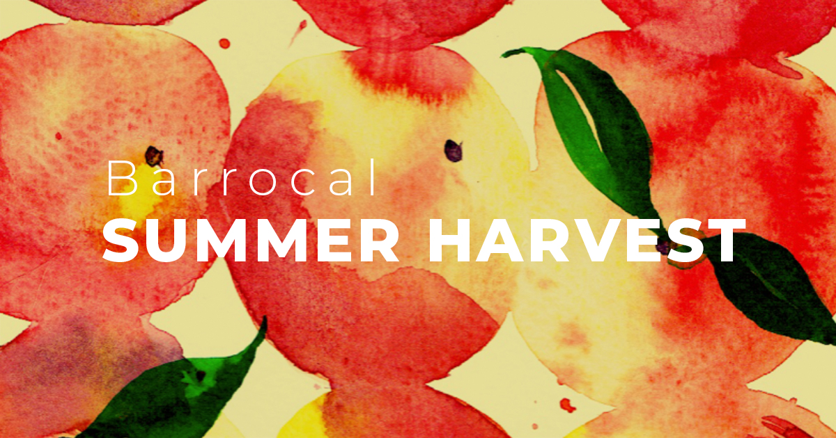 Watercolour pattern of ripe peaches inspired by the colours and abundance of the Algarve’s late-summer harvest.