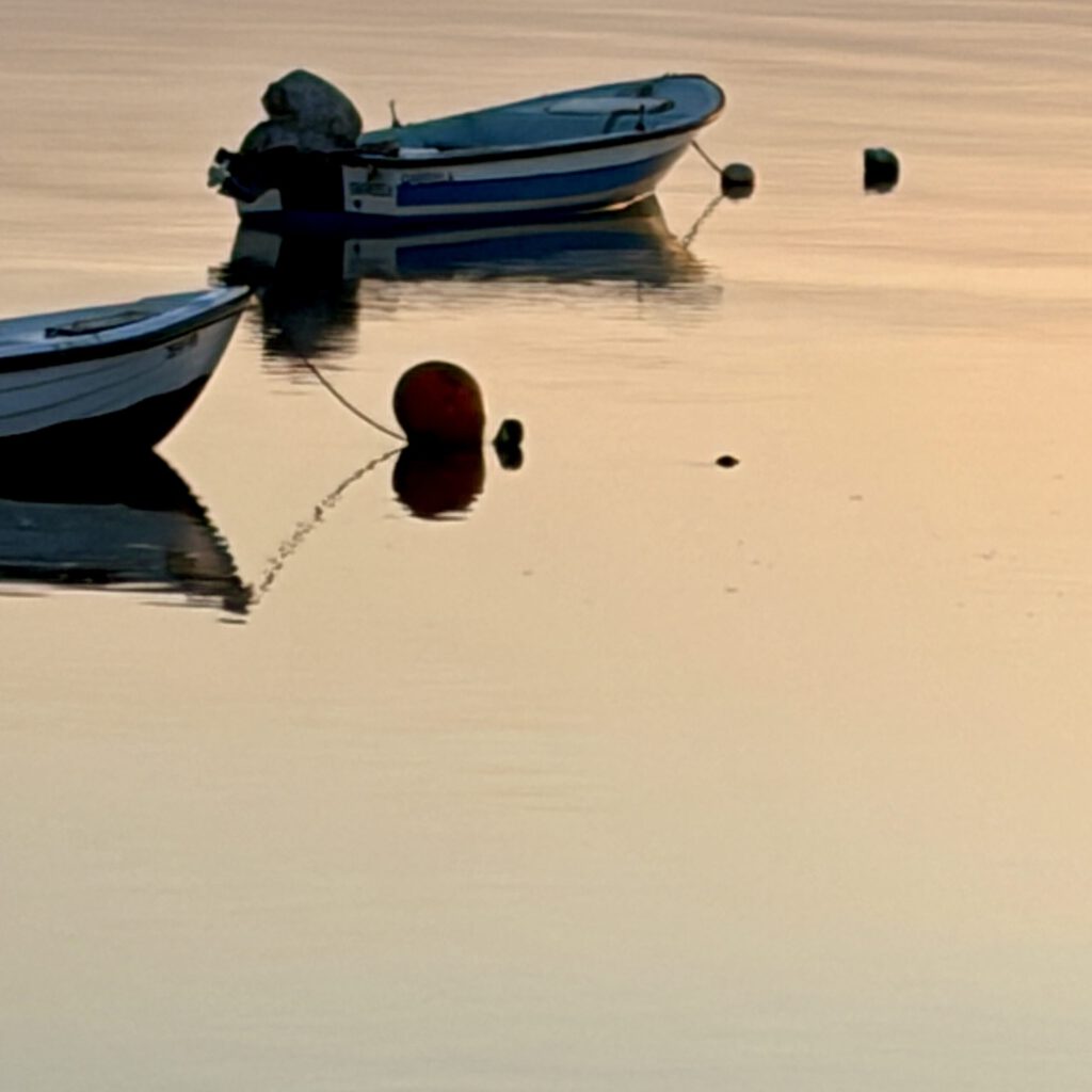 Watercolour painting of traditional Barcas de Olhão boats on golden harbour water at sunset in the Algarve